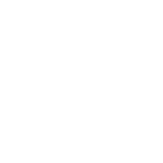 Gemini tool logo
