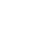DeepSeek AI tool logo
